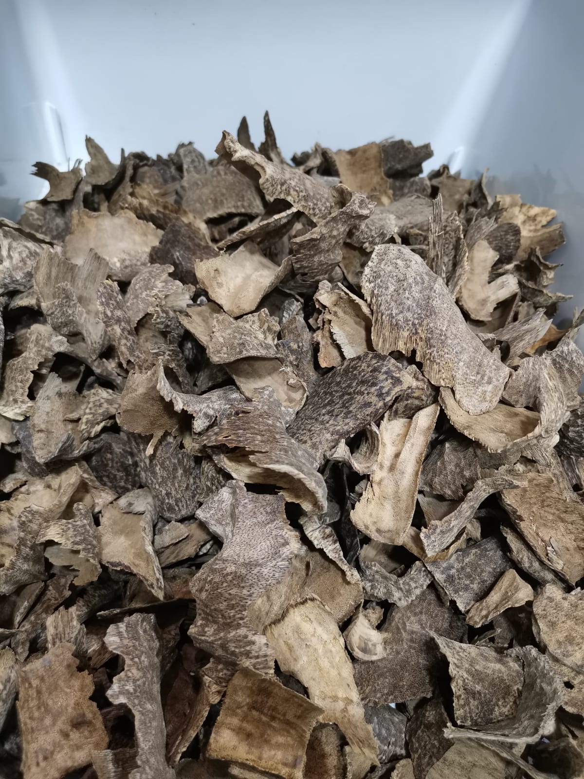 Vietnam Oud-10 Tola عشرتولات ونص عود فيتنامي مستزرع